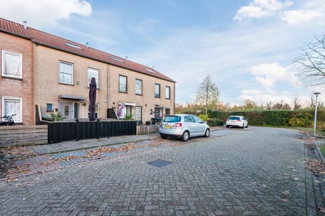 Moesdistelstraat 19