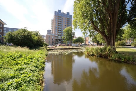 Stadhoudersplantsoen 246-A