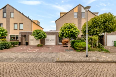 Lepelaarstraat 9