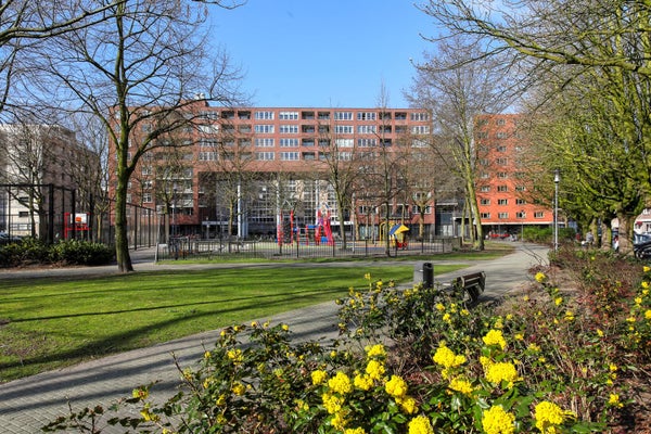 Kipstraat 127