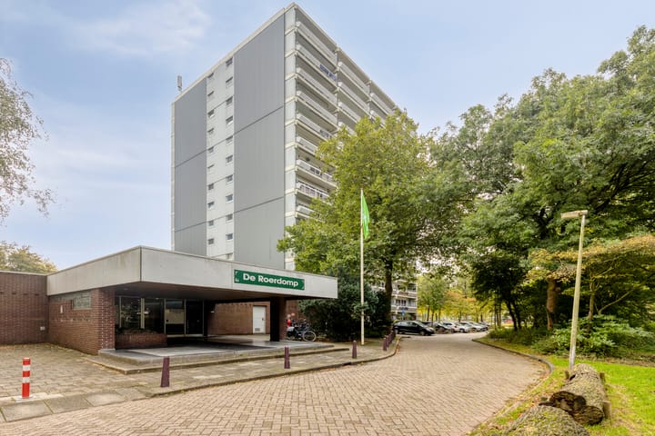 De Roerdomp 27