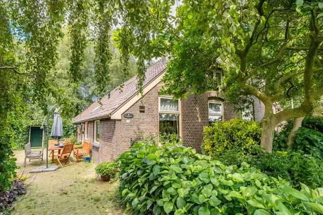 De Brandt 4