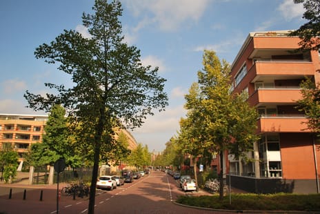 Henriëtte Roland Holststraat 24