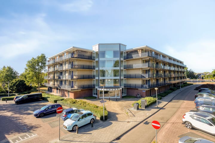 Vesting 24