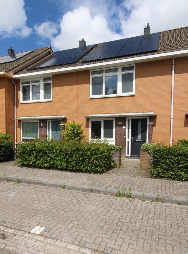 Koning Hollewijnstraat
