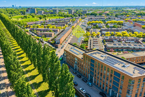 Korianderstraat 114
