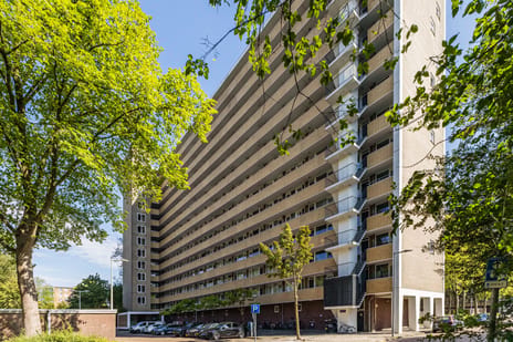 Langswater 379