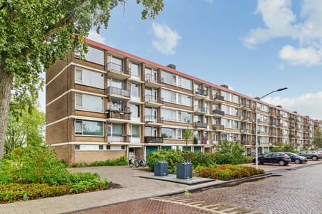 Bachstraat 260