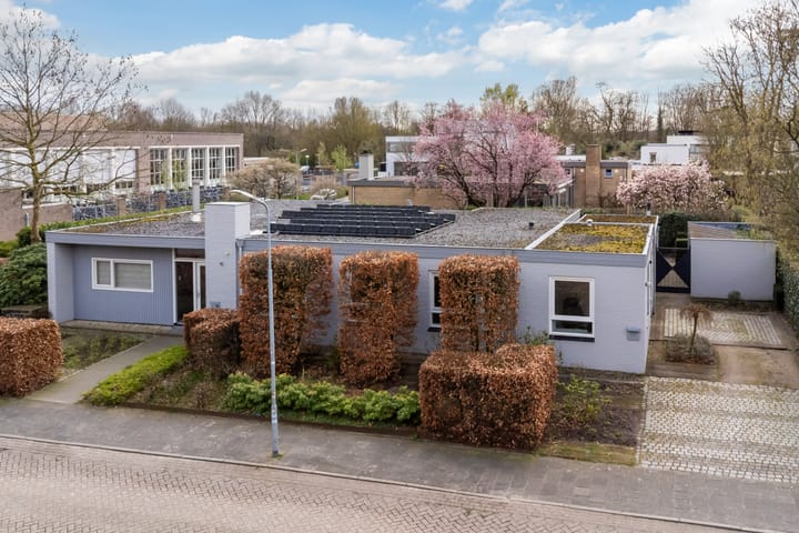 Liviusstraat 11
