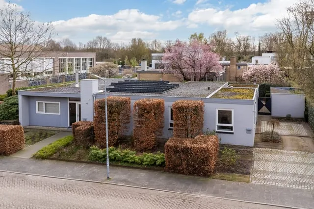 Liviusstraat 11