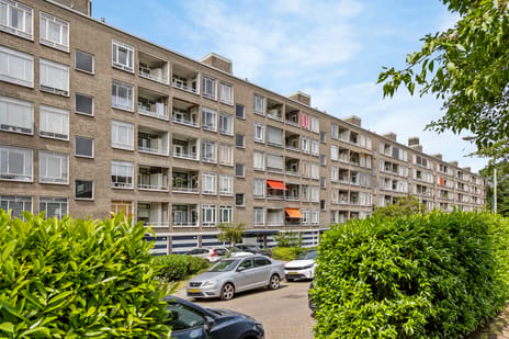 Parelmoerhorst 152