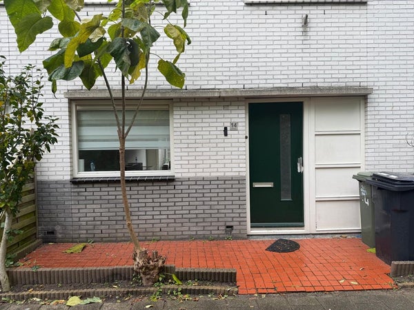 Dumontstraat