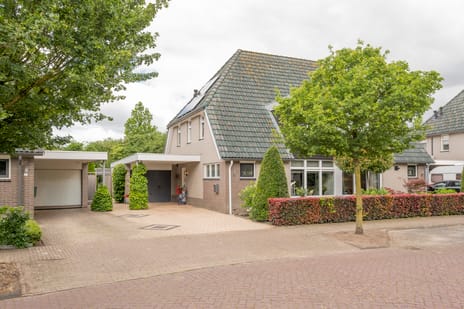 Boterbloem 6