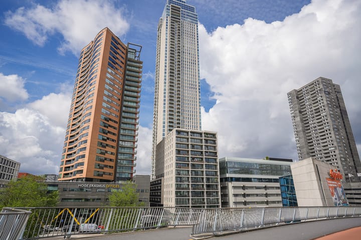 Houtlaan 239