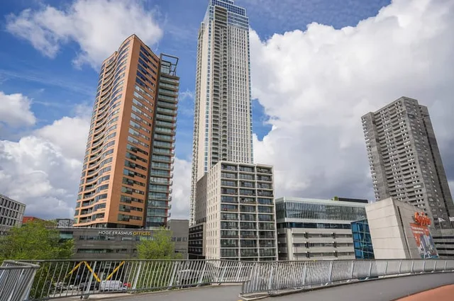Houtlaan 239