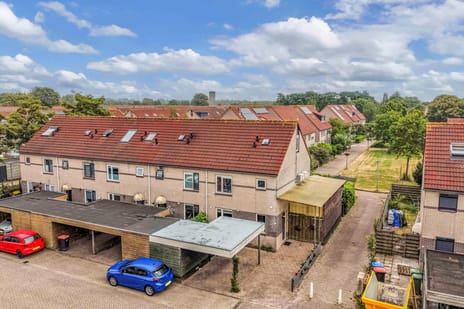 Wolgastraat 11