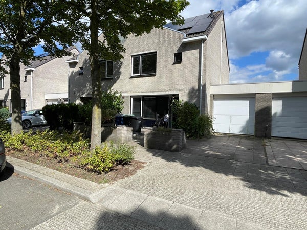 Esdoornplantsoen