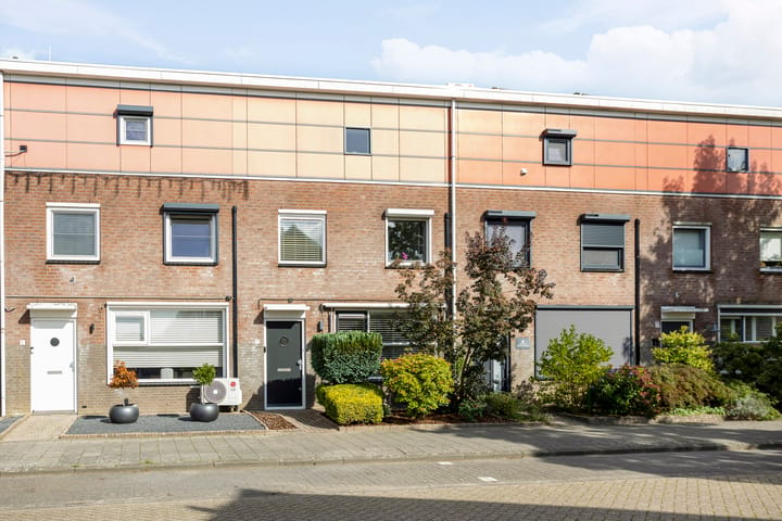 Koningskinderen 7