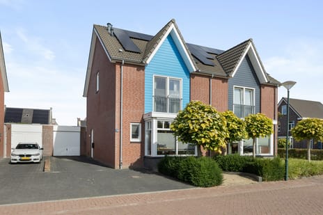 Goudsbloem 16