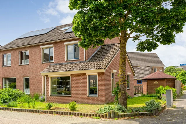 Zenegroen 2