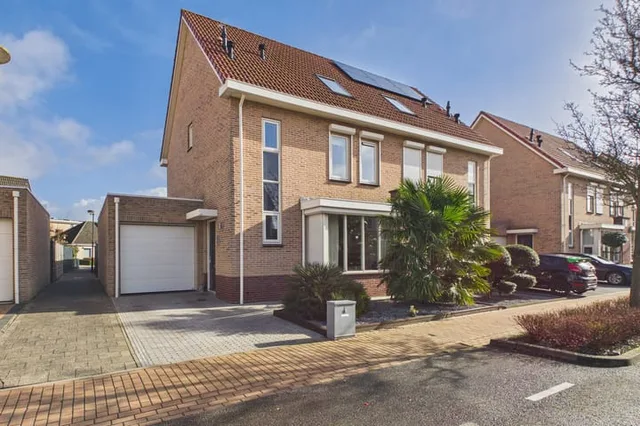 Aalscholver 14
