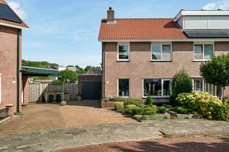De Morgen 24