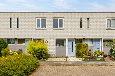 Gitaarstraat 36