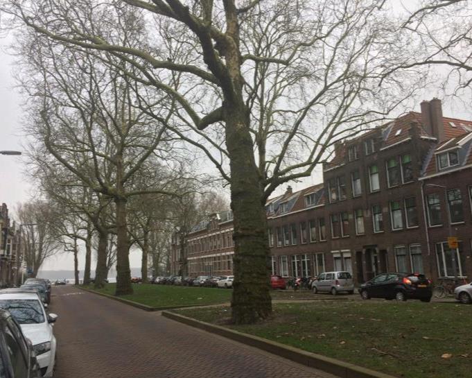 Jericholaan