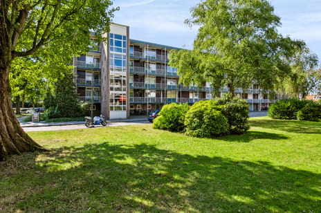 Van Houtenstraat 58