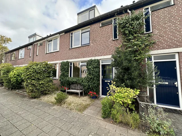Peter van Anrooystraat 21