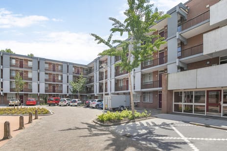 Louvre 102
