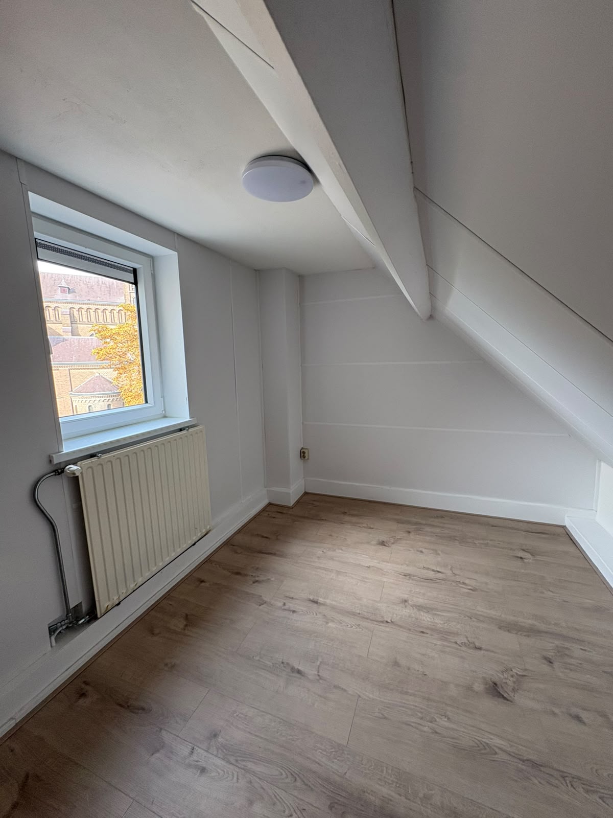 van Trieststraat