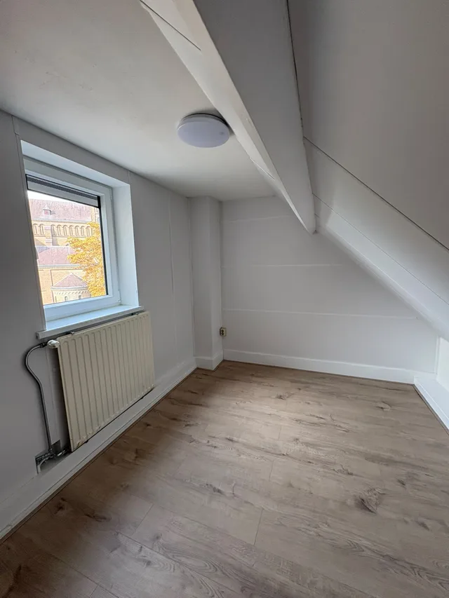 van Trieststraat