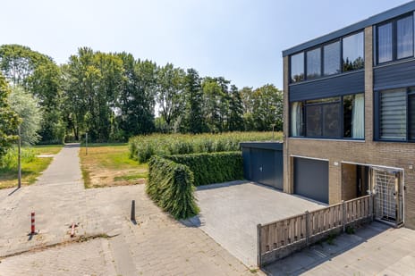 Passiebloem 43