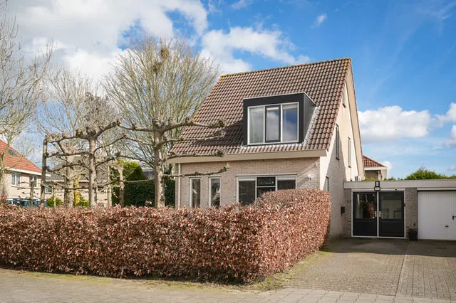 Kanteel 40