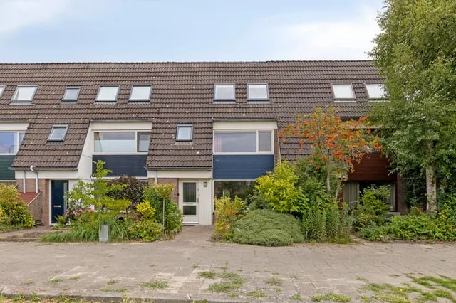 Zwanebloem 7