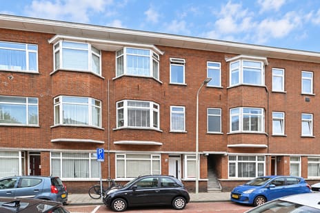 Goudreinetstraat 237
