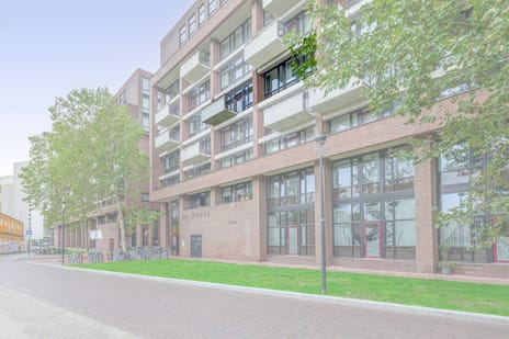 Lichtstraat 267