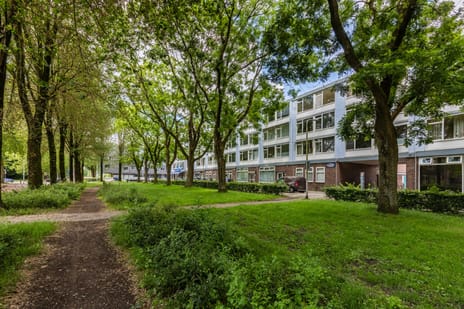 Trouwlaan 285