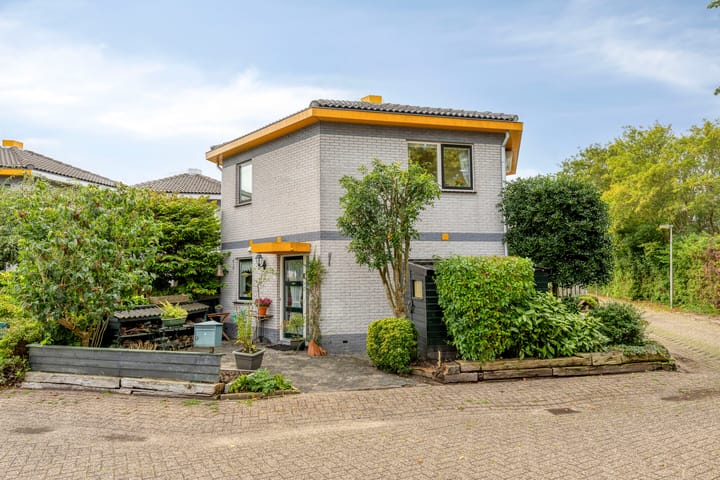Johan Abersonstraat 20