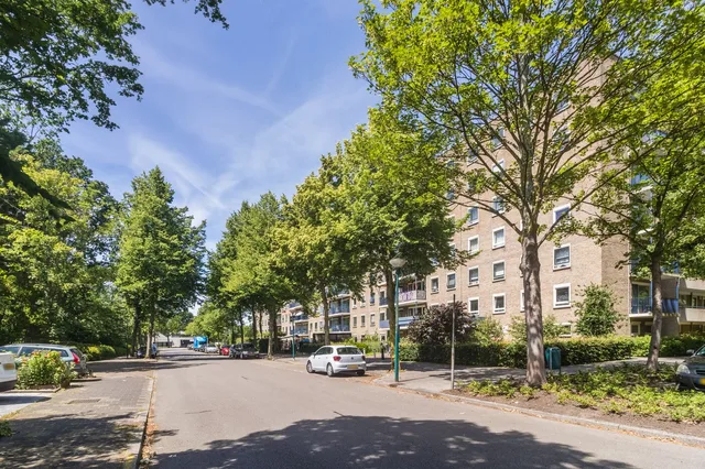 Aert van Neslaan 311 2341 HM Oegstgeest