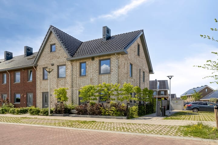 Koekoeksbloem 33