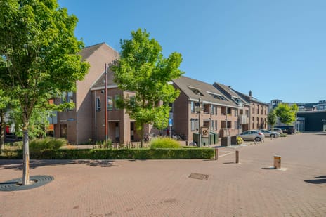 De Gouden Leeuw 81