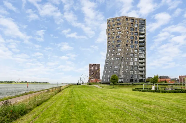 Het Hoge Licht 11