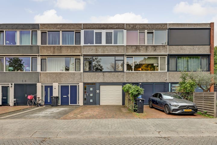 Hanespoordoorn 36