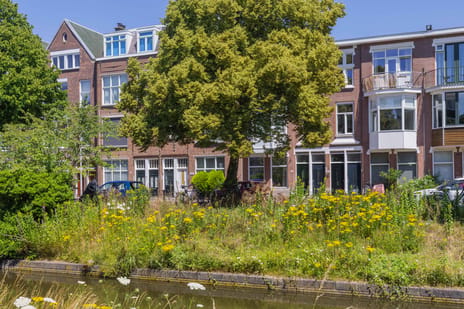 Valkenboskade 431