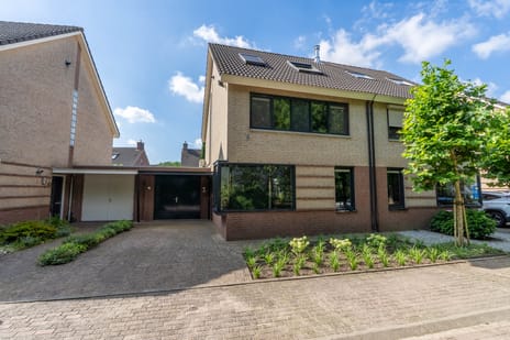 Zilverschoon 45