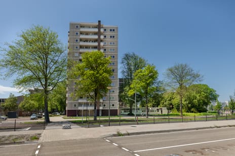 Ierlandstraat 147
