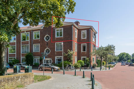 Aronskelkweg 272