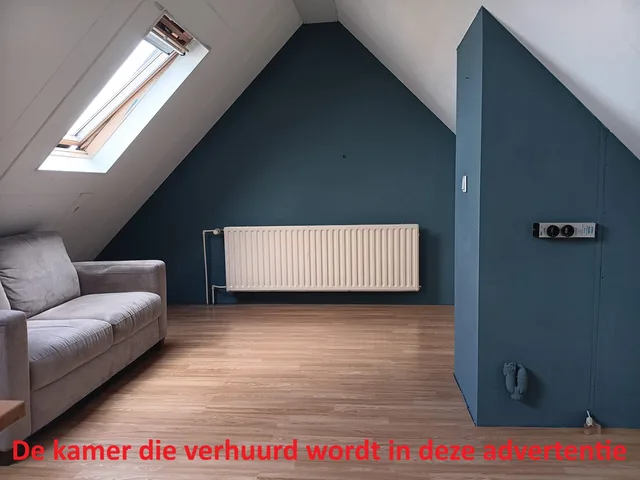 Hondsrug